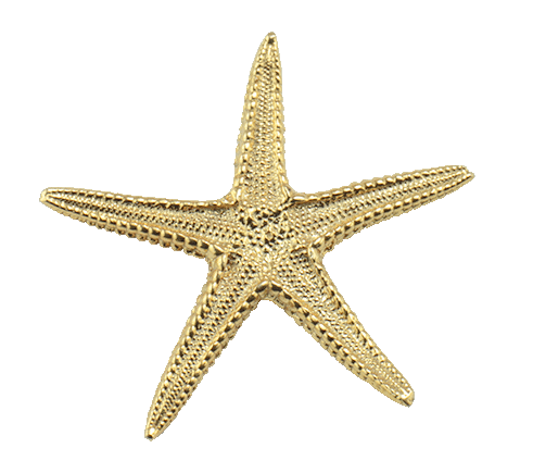 Sea Star Large